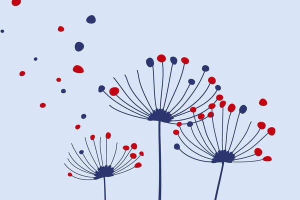 Eine Illustration von Pusteblumen in hellblau.